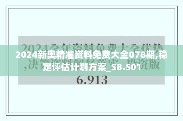 2024新奥精准资料免费大全078期,稳定评估计划方案_S8.501