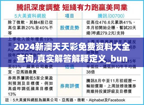 2024新澳天天彩免费资料大全查询,真实解答解释定义_bundle2.767