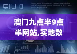 澳门九点半9点半网站,实地数据评估方案_LE版5.490