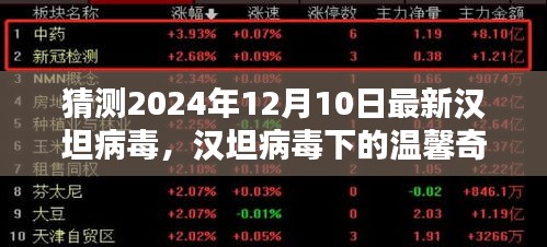 汉坦病毒下的温馨奇遇，2024年12月10日的记忆与猜测