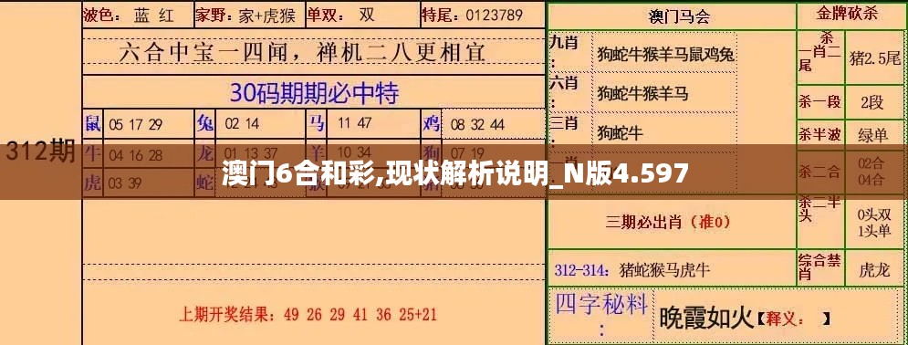 澳门6合和彩,现状解析说明_N版4.597