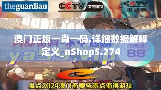 澳门正版一肖一码,详细数据解释定义_nShop5.274