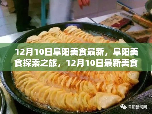 阜阳美食探索之旅，最新美食制作指南（12月10日版）