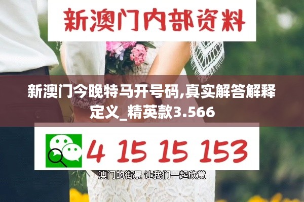 新澳门今晚特马开号码,真实解答解释定义_精英款3.566