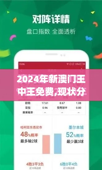 2024年新澳门王中王免费,现状分析解释定义_Lite9.381