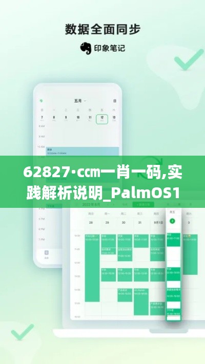 62827·c㎝一肖一码,实践解析说明_PalmOS15.522