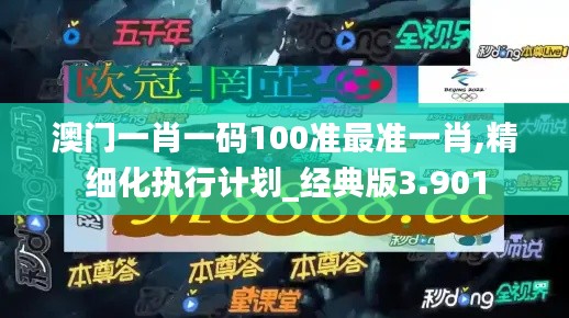 澳门一肖一码100准最准一肖,精细化执行计划_经典版3.901