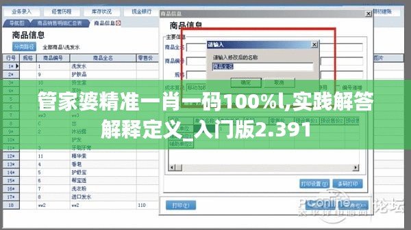 管家婆精准一肖一码100%l,实践解答解释定义_入门版2.391