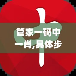 管家一码中一肖,具体步骤指导_D版2.777