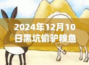 2024年黑坑偷驴糗鱼最新技巧，温情垂钓，友情鱼跃时刻