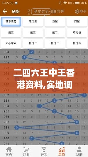 二四六王中王香港资料,实地调研解释定义_Phablet12.190