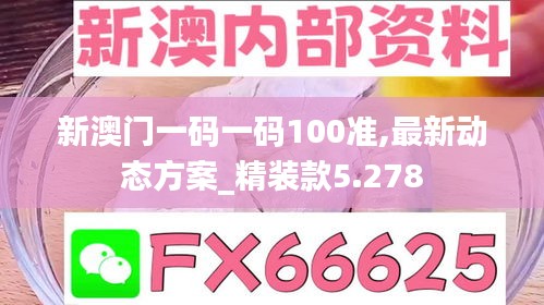 新澳门一码一码100准,最新动态方案_精装款5.278