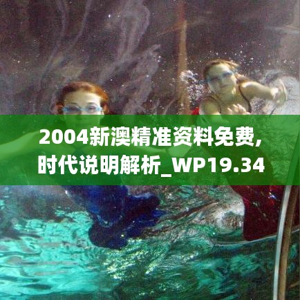 2004新澳精准资料免费,时代说明解析_WP19.341