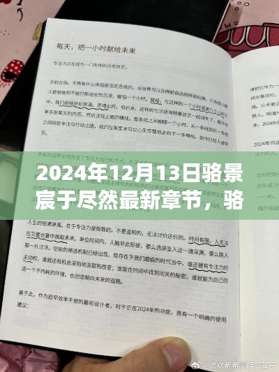 骆景宸于尽然最新章节深度洞察，一个观点的阐述（2024年12月13日）