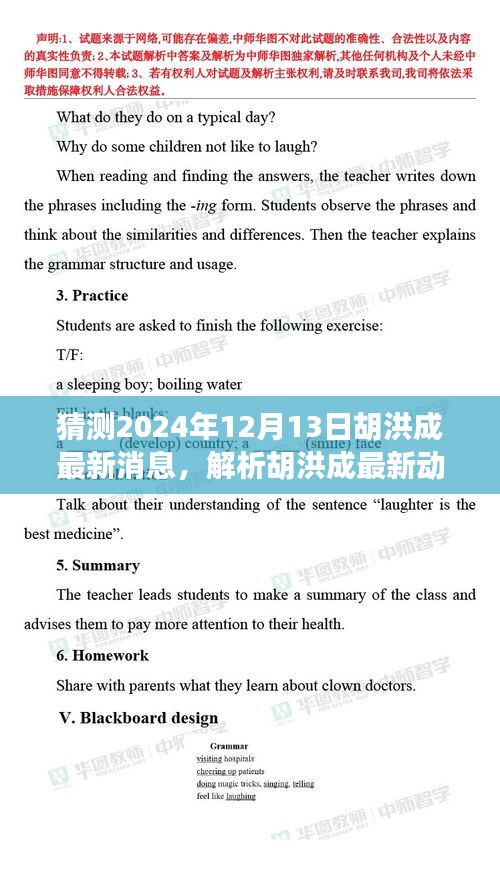 胡洪成最新动态解析与预测，2024年12月展望及反思