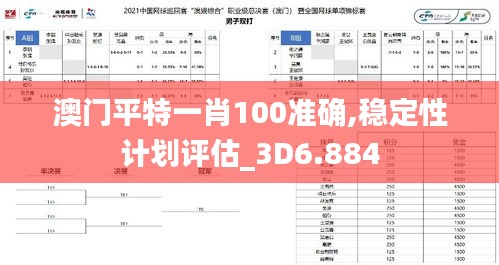 澳门平特一肖100准确,稳定性计划评估_3D6.884