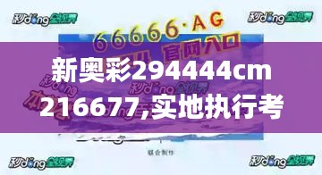 新奥彩294444cm216677,实地执行考察方案_冒险款9.110