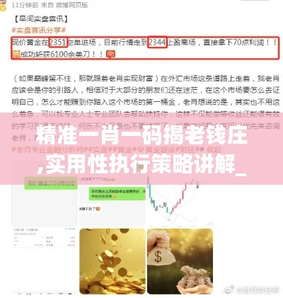 精准一肖一码揭老钱庄,实用性执行策略讲解_微型版3.106