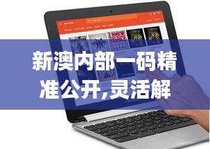 新澳内部一码精准公开,灵活解析执行_Chromebook8.916