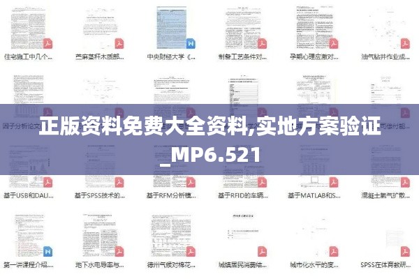 正版资料免费大全资料,实地方案验证_MP6.521