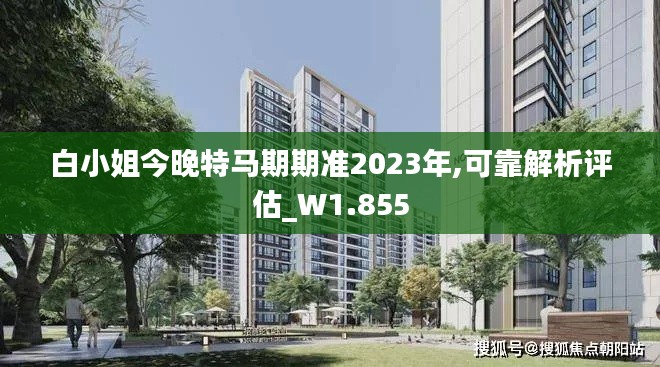 白小姐今晚特马期期准2023年,可靠解析评估_W1.855