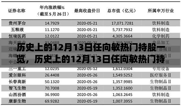 历史上的12月13日任向敏热门持股详解，步骤指南与一览表