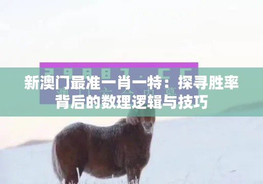 新澳门最准一肖一特：探寻胜率背后的数理逻辑与技巧