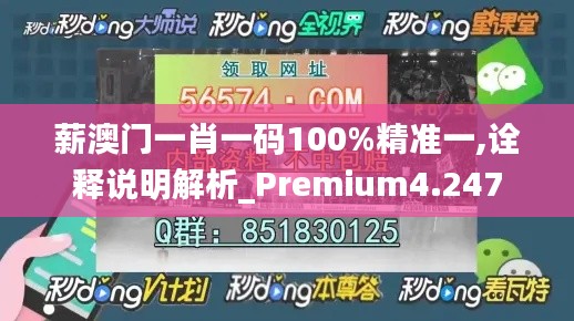 薪澳门一肖一码100%精准一,诠释说明解析_Premium4.247