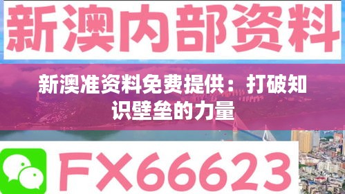 2024年12月14日 第43页