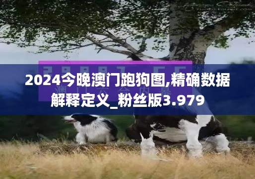 2024今晚澳门跑狗图,精确数据解释定义_粉丝版3.979