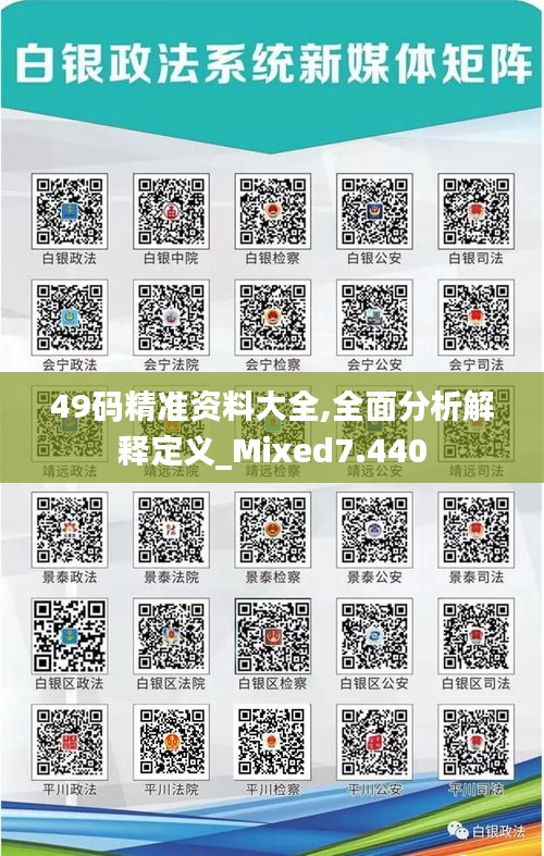 49码精准资料大全,全面分析解释定义_Mixed7.440