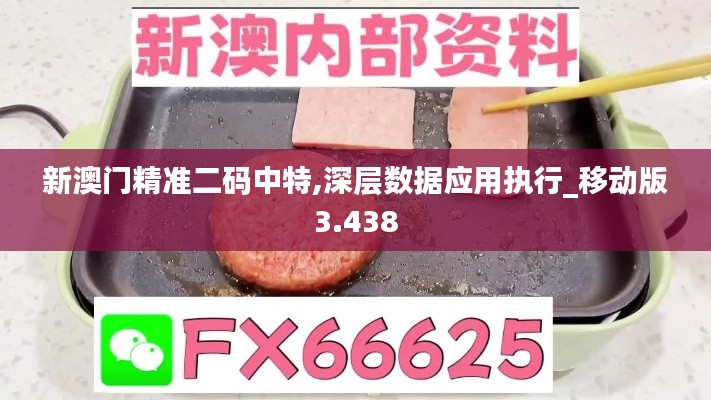 新澳门精准二码中特,深层数据应用执行_移动版3.438