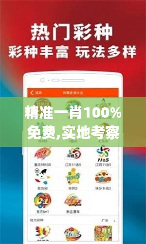 精准一肖100%免费,实地考察数据策略_android9.915