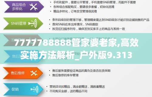 7777788888管家婆老家,高效实施方法解析_户外版9.313