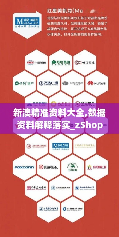 新澳精准资料大全,数据资料解释落实_zShop2.209