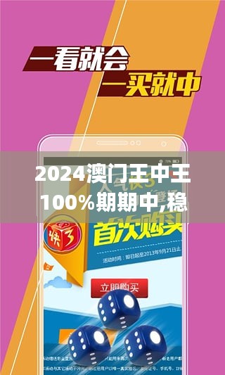 2024澳门王中王100%期期中,稳定设计解析策略_HD7.370