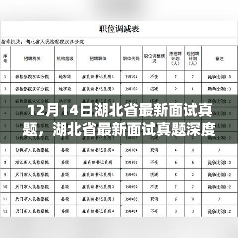 湖北省最新面试真题解析与深度评测（12月14日版）