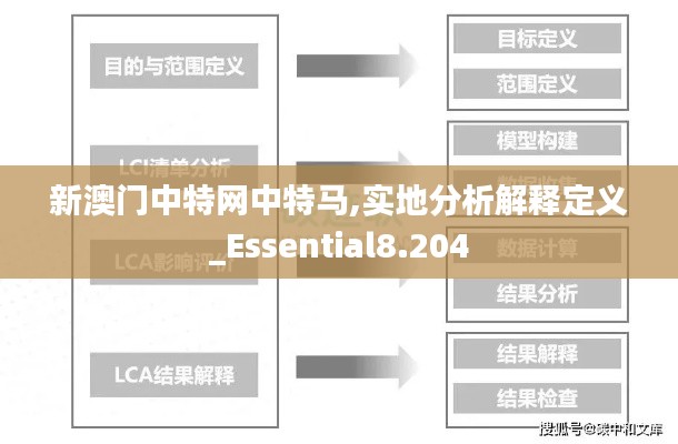 新澳门中特网中特马,实地分析解释定义_Essential8.204