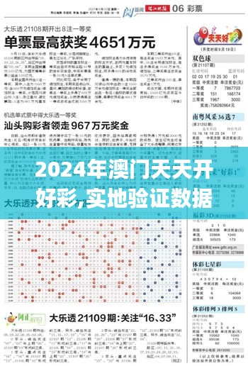 2024年澳门天天开好彩,实地验证数据计划_The6.620