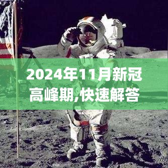 2024年11月新冠高峰期,快速解答策略实施_特别款1.739