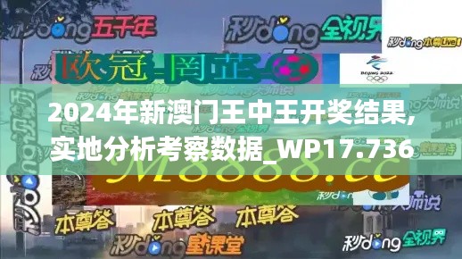 2024年新澳门王中王开奖结果,实地分析考察数据_WP17.736