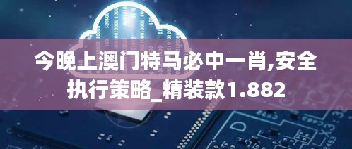 今晚上澳门特马必中一肖,安全执行策略_精装款1.882