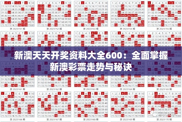 新澳天天开奖资料大全600：全面掌握新澳彩票走势与秘诀