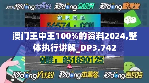 澳门王中王100%的资料2024,整体执行讲解_DP3.742