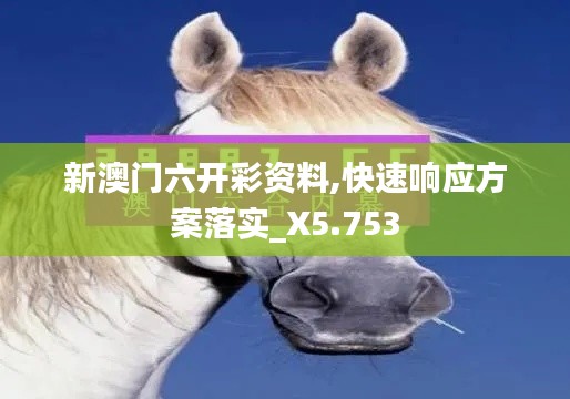 新澳门六开彩资料,快速响应方案落实_X5.753