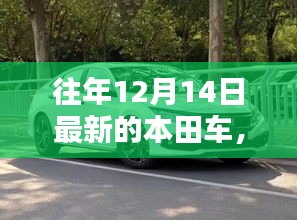 12月14日最新本田车型选购指南，本田新车选购攻略与技巧分享