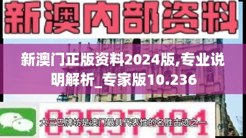 新澳门正版资料2024版,专业说明解析_专家版10.236