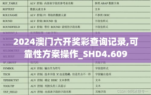 2024澳门六开奖彩查询记录,可靠性方案操作_SHD4.609