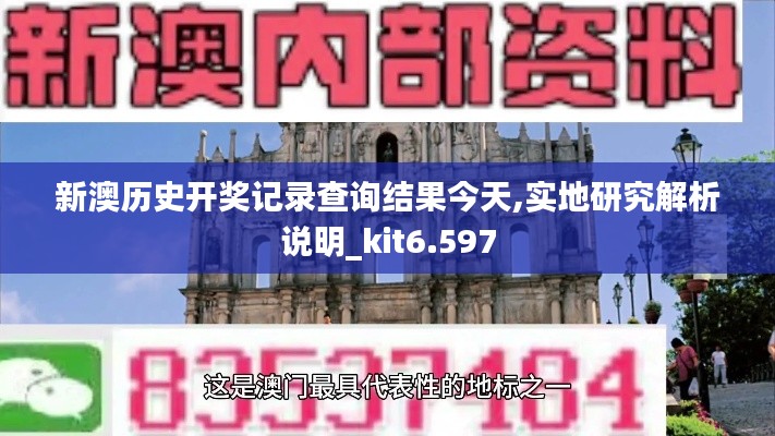 新澳历史开奖记录查询结果今天,实地研究解析说明_kit6.597