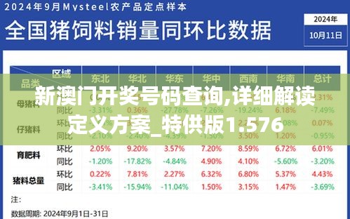 新澳门开奖号码查询,详细解读定义方案_特供版1.576